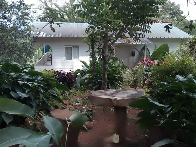 Casa De Andrea Villa Santo António Exterior foto