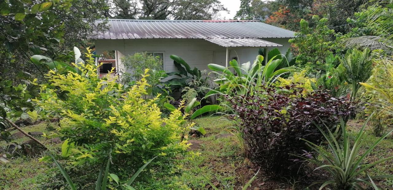 Casa De Andrea Villa Santo António Exterior foto