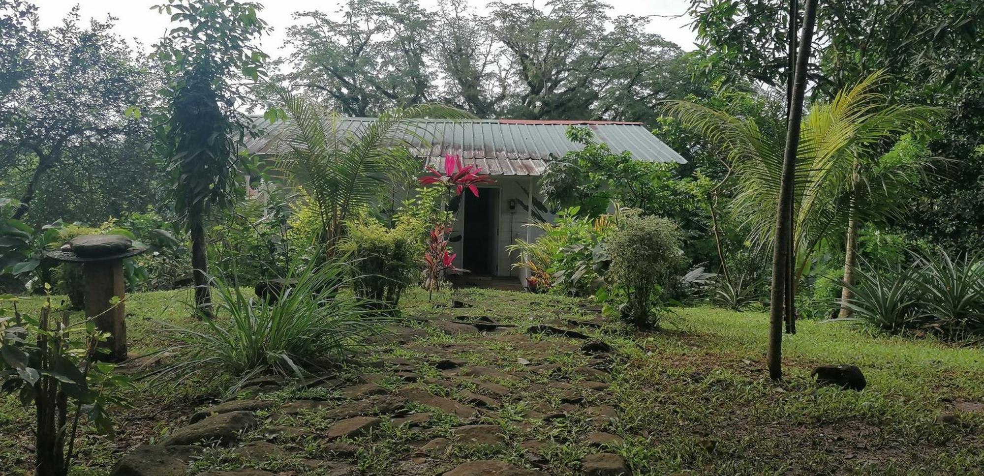 Casa De Andrea Villa Santo António Exterior foto