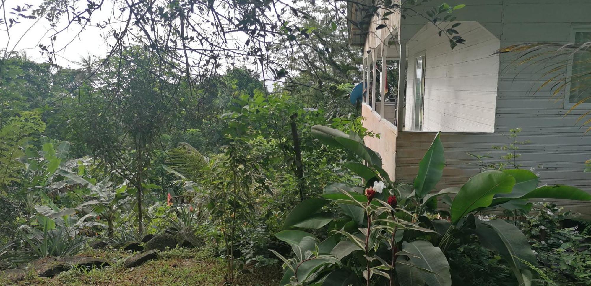 Casa De Andrea Villa Santo António Exterior foto